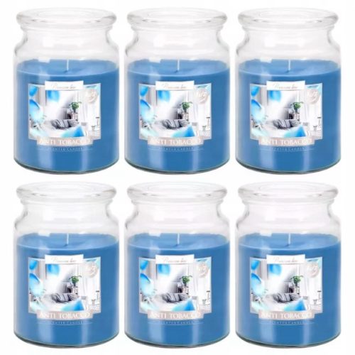 Kerzen Traditionelle Paraffinkerze ANTI TOBACCO Bispol 6 Stk.