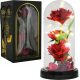 ROSE LEUCHTET UNTER DER EWIGEN KUPPEL AUS GLAS USB-KABEL FÜR EIN WEIHNACHTSGESCHENK