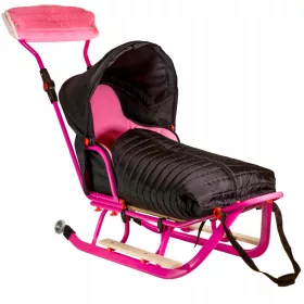  Traditioneller Metallschlitten - Sicherheitsgurte - 3 in 1
