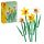  LEGO ICONS 40747 Narzissen