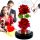 ECHTE EWIGE ROSE IN EINER BOX HOLO-HALSKETTE, VALENTINSTAGGESCHENK