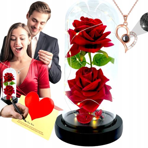ECHTE EWIGE ROSE IN EINER BOX HOLO-HALSKETTE, VALENTINSTAGGESCHENK
