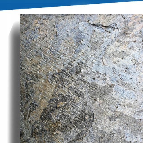 Deoli Grünes Steinfurnier 122x61x0,2 cm