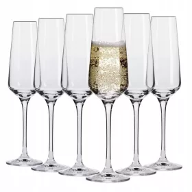  Champagneretui mit Gläsern als Geschenk