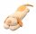  Marton Dog Maskottchen 110 cm beige und braun