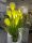 Künstliche Blumen und Früchte Dekogras im 80 cm LED-Topf