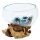 Vasen – modern und traditionell Ancient Wisdom Vase, Glas, 20 cm