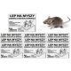  10 STÜCK KLEBEKLEBER-RUTSCHFALLE FÜR MÄUSE, INSEKTEN, SPINNEN, INSEKTEN, 10-TEILIGES SET