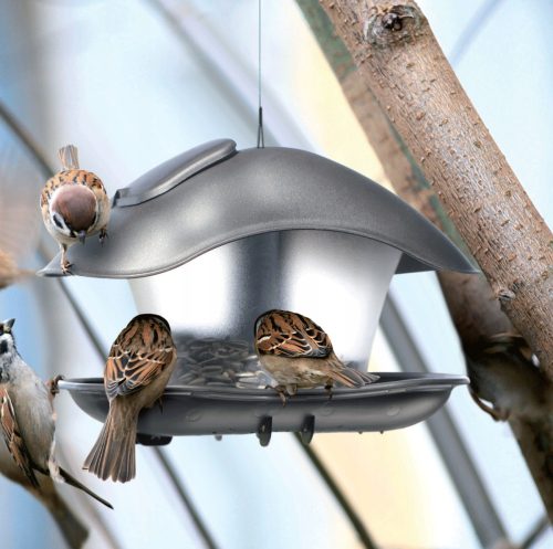  Vogelhäuschen - BIRDYFEED SQUARE - Anthrazit
