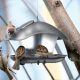  Vogelhäuschen - BIRDYFEED SQUARE - Anthrazit