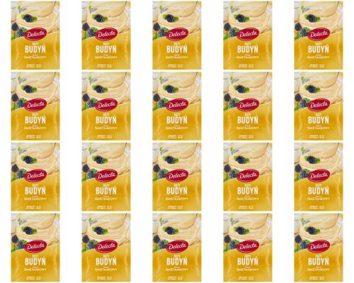 Delecta Budyń Schmackhafter Sahnegeschmack, 20x 64g Packung