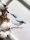 Bilder an der Wand Handgemaltes Aquarell - Kleibervogel