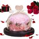 EWIGE ROSE AUS GLAS, LEUCHTENDE LED, PERFEKT ALS GESCHENK, ORIGINALVERPACKUNG