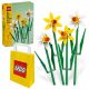  LEGO ICONS 40747 Narzissen + Papiertüte LEGO 6315786 gelb 24x8x18 cm