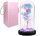 EWIGE ROSE IM GLAS, LEUCHTENDE LED-BOX