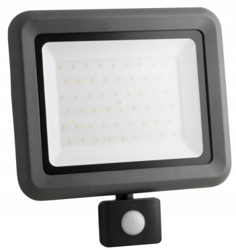 Halogene für den Außenbereich und den Garten Halogen kaltweiß 6000 lm 50 W