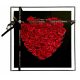 Blumen und Blumenkästen zum Valentinstag Blumenkasten, KosmoGroup ewige Rose 30 cm