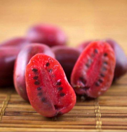  MINI KIWI Ken's Red weibliche Sorte SWEET FRUIT