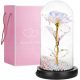EWIGE ROSE AUS GLAS, LEUCHTENDE LED, MEHRFARBIGE GESCHENKIDEE FÜR NICHOLOGIE