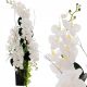 ORCHIDEE XXL DEKO WOHNZIMMER ORCHIDEE DEKO 120CM