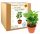 Coole, lustige Gadgets ARABICA COFFEE Kaffeebaum Geschenk zum Opatag, Oma, bester Opa