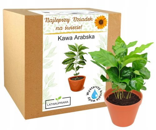 Coole, lustige Gadgets ARABICA COFFEE Kaffeebaum Geschenk zum Opatag, Oma, bester Opa