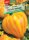  Tomate 'Anacoeur' PREMIUM Sperli-Samen