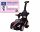  GROSSER RIDE-ON, WALKER, PUSH 3in1, AUTO, AUTO MIT PUSHER + FÜHRERSCHEIN