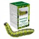 NEEMAZAL T/S Bio-Insektizid-Spray gegen Buchsbaumzünsler - 30 ml