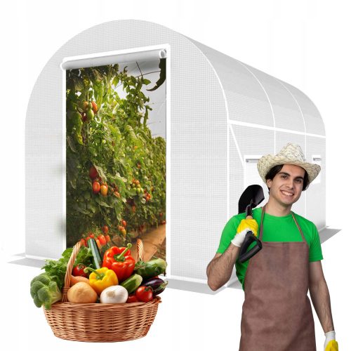 Folientunnel, Kunststoffplatten Folientunnel 6 m² 300 x 200 cm weiß