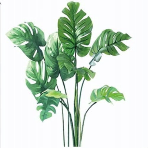 Dekorative Wandaufkleber WANDAUFKLEBER MONSTERA BLÄTTER Garderobenmöbel Glasspiegel für das Wohnzimmer