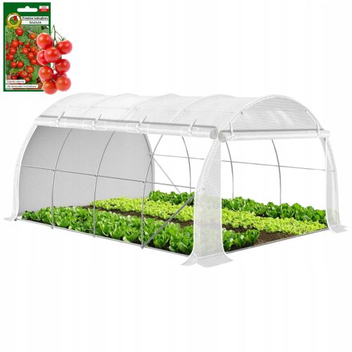 Folientunnel, Kunststoffplatten Folientunnel 12 m² 400 x 300 cm weiß