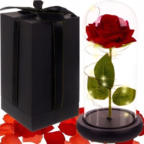 Ewige Rose Afnue 22 cm + FOLIENUMSCHLAG 5XL 550x750+50mm 1St