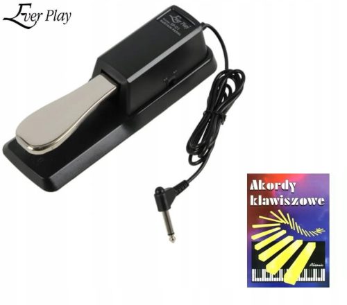  Spielen Sie jemals das SP-01-Pedal