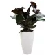  Form-Plastic Blumentopf 38,5 cm x 38,5 x 58 cm Durchmesser 38,5 cm Kunststoff weiß