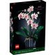  LEGO CREATOR EXPERT ORCHIDEENBLUME ORCHIDEENBLUME IM TOPF GESCHENK