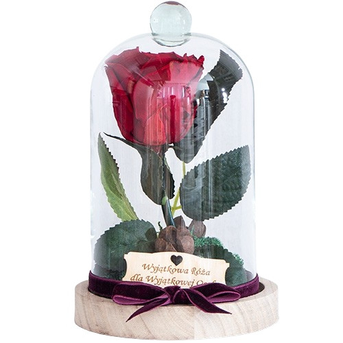 EXKLUSIVE ewige ROSE XL im Glas - Wald IN GLAS