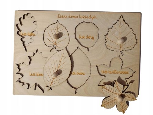 Holzpuzzle mit natürlichen Montessori-Blättern, lehrreich
