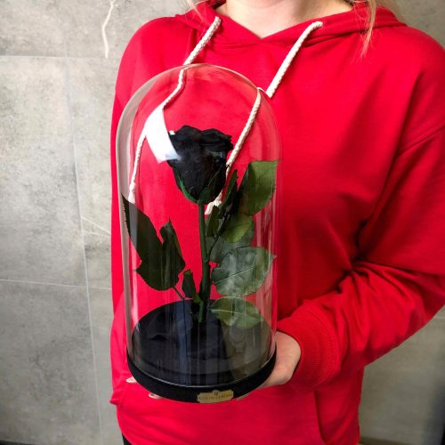 Schwarze ewige Rose in der „Die Schöne und das Biest“-Box