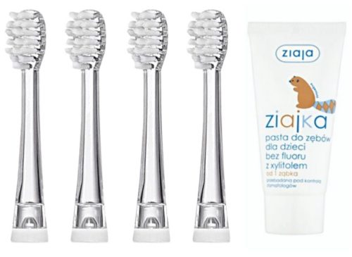  4 x sterile Ersatzspitzen für Neno Denti 18-36 + Ziajka Zahnpasta