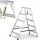 Drabest Leiter 3,03 m Aluminium bis 150 kg