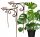  Stütze für Pflanzen, Sträucher, Blumen, PERGOLA, massiv, 40/60 cm, 2 Stück, rund