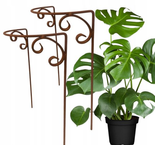  Stütze für Pflanzen, Sträucher, Blumen, PERGOLA, massiv, 40/60 cm, 2 Stück, rund