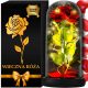 EWIGE ROSE IN GLAS, LEUCHTENDE LED-GESCHENKBOX FÜR DEN VALENTINSTAG UND FRAUENTAG
