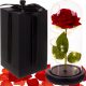 Ewige Rose in Glas-Geschenk-LED-Leuchtbox