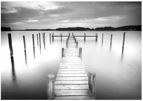 Fototapete Brücke im Nebelstegsee 368 x 254 2655V8