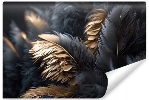 Fototapete Schwarze und goldene Federn 3D-Effekt Glamour-Stil Abstraktion 450x300