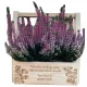  BLUMENKASTEN LEHRERTAG, TRÄGER MIT GRAVUR