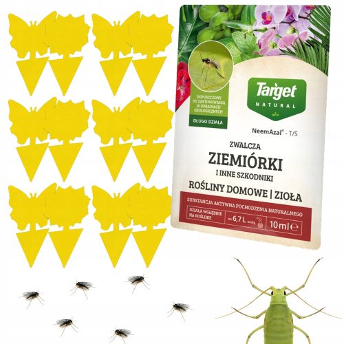 12x GELBER TOPF GLAS SCHMETTERLING Erdfliegen Insekten