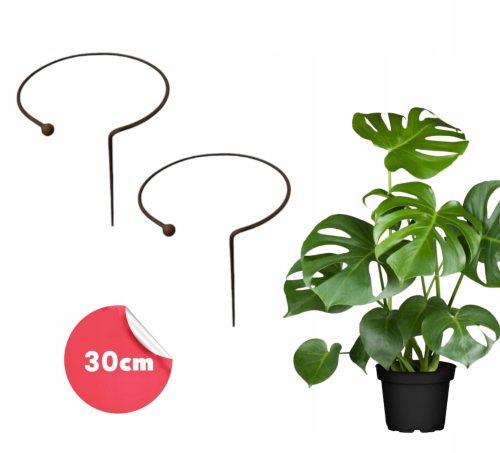  2× Stütze 2 Stück für Sträucher Pflanzen Blumen Gartenstütze D30 H60cm massiv